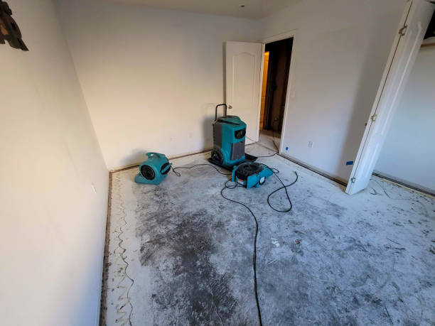Best Ceiling water damage repair  in River Ridge, LA