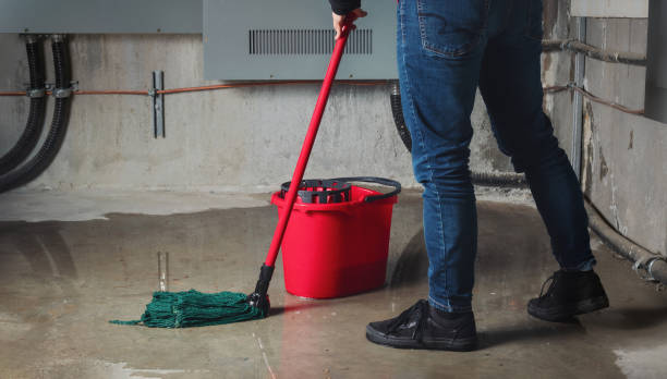Best Water damage restoration company  in River Ridge, LA
