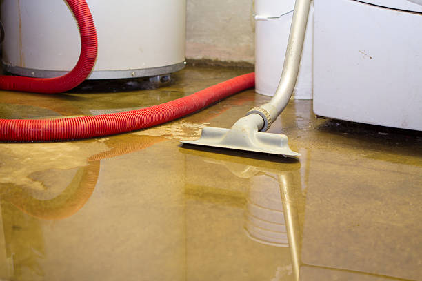 Best Flood damage cleanup  in River Ridge, LA