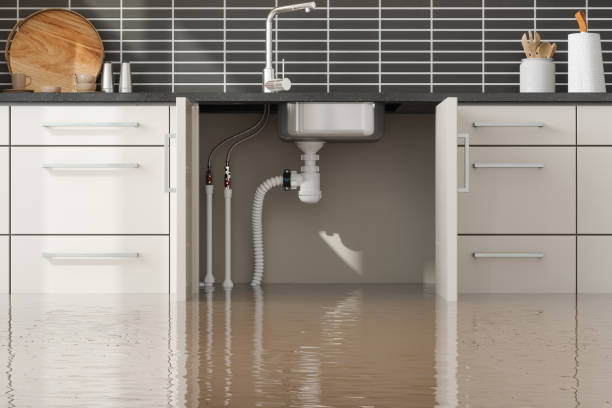 Best Water damage contractors near me  in River Ridge, LA