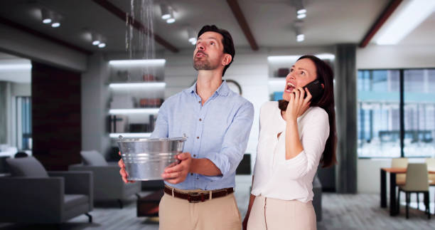 Best Basement water damage restoration  in River Ridge, LA