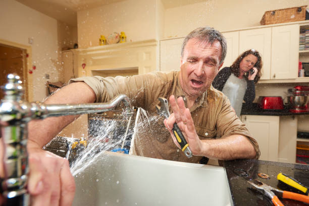 Best Water damage cleanup near me  in River Ridge, LA